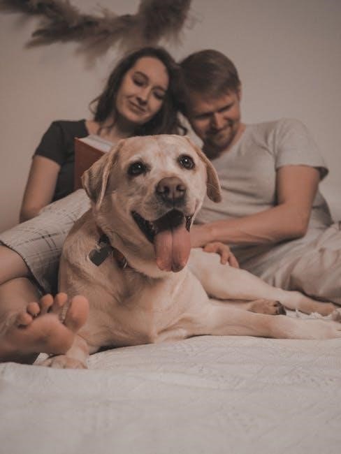 love that dog book pdf