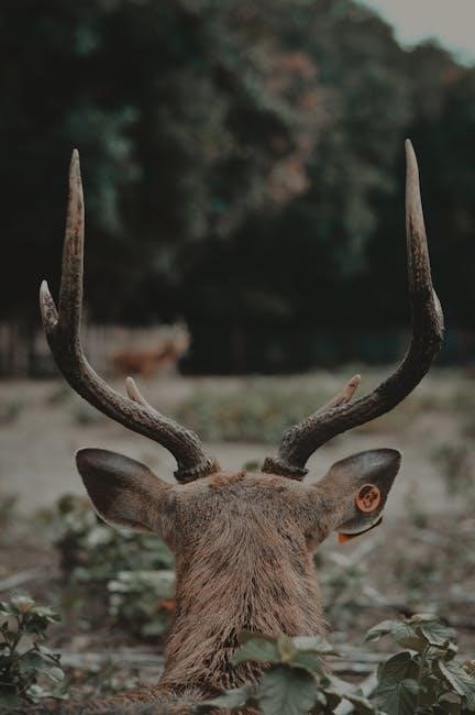 if you give a moose a muffin pdf