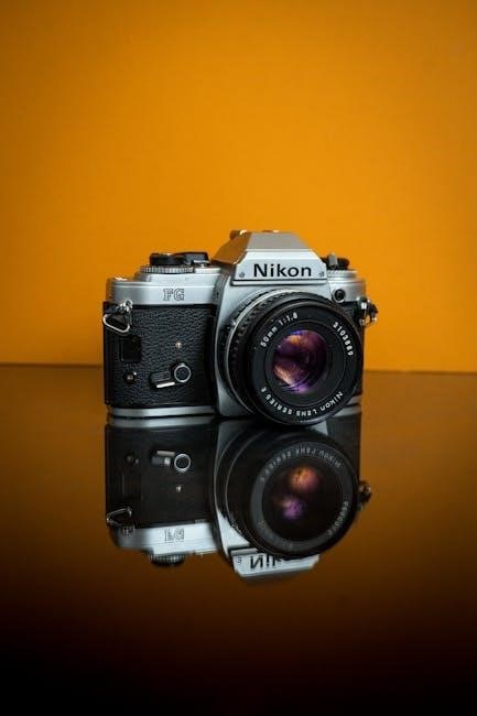 nikon d3300 manual