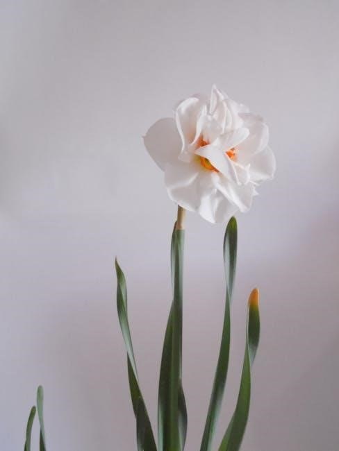 canna nutrients grow guide